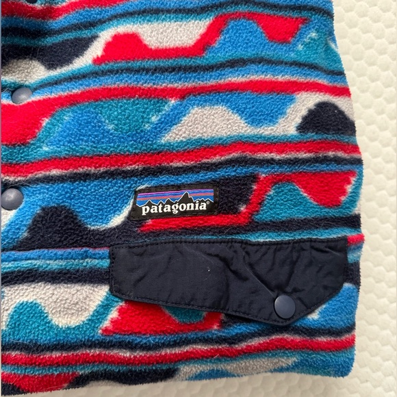Patagonia Synchilla Fleece - Picture 7 of 9